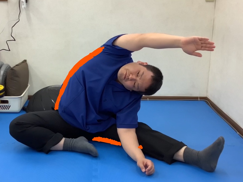 右前鋸筋・広背筋、左内側ハムストリングスをストレッチしている写真です。