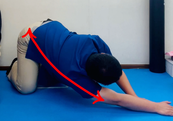 四つ這いで行う広背筋のストレッチです。