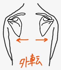 肩甲骨外転の動き