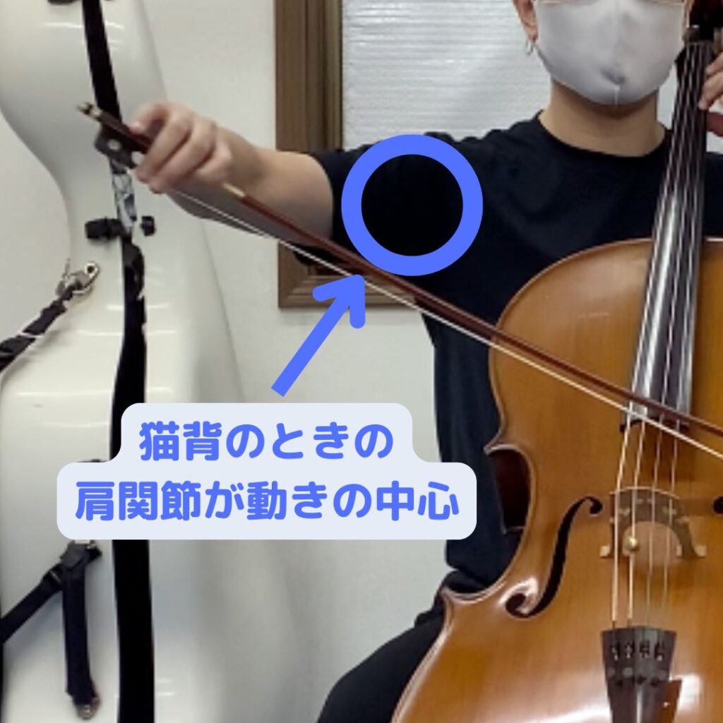 チェロ演奏時に猫背・巻き肩になっていると肩甲骨の動きが阻害され、ボウイングの動きが肩関節中心となって肩に痛みを感じる原因になる。