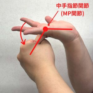 薬指の中手指節関節(MP関節)を伸展させて虫様筋・掌側骨間筋を伸ばすストレッチです。これらの筋肉が硬くなると指の動きの自由度が妨げられます。