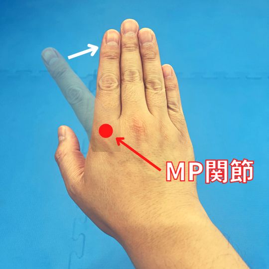 第1掌側骨間筋は、人差し指(示指)を内側に閉じる(内転させる)作用をもっています。