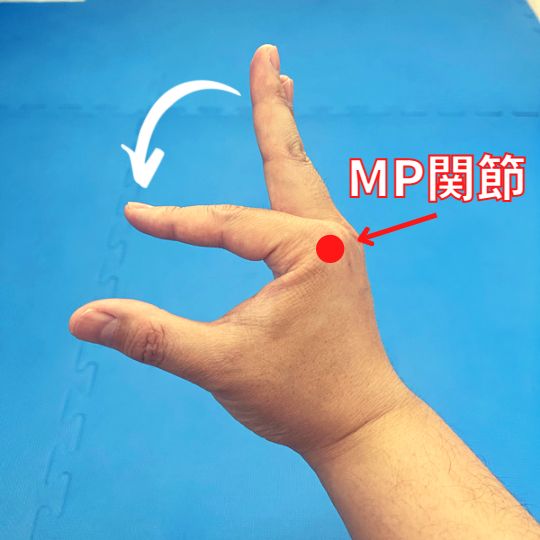 第1掌側骨間筋は、人差し指(示指)のMP関節を曲げる(屈曲する)作用をもっています。