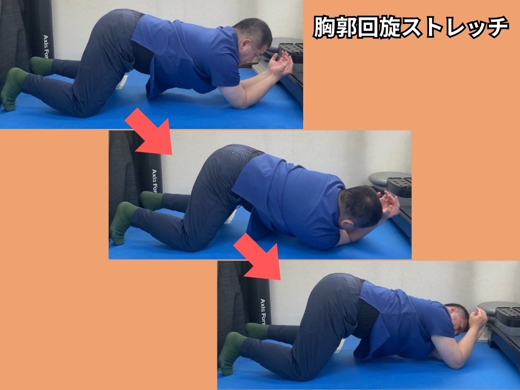 チェロ演奏で右首・右肩が痛む理由とは?右側凸姿勢のメカニズムと解決法【理学療法士解説】 25 肘付きの四つ這いで行う胸郭回旋ストレッチの様子です。