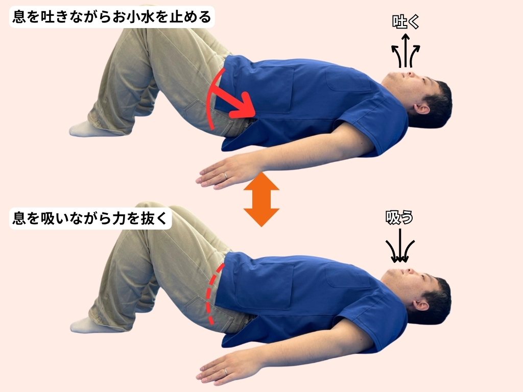 骨盤底筋トレーニングの写真です。息を吸ってから息を吐きながらお小水止める力を膣の走行に合わせて斜め後ろ上方向へ入れていきます。息を吸うときは骨盤底筋群の力を緩めます