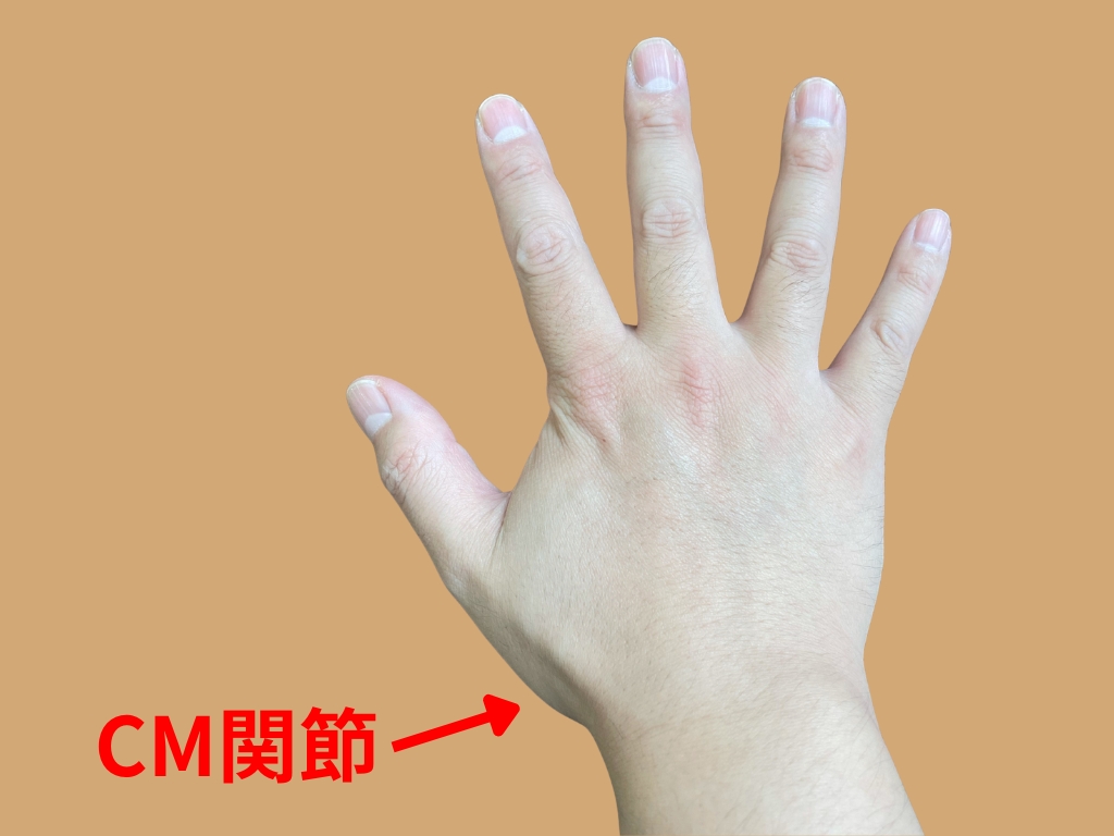 母指のCM関節の場所を示した写真